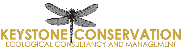 Keystone Conservation — Ecological Consultancy and Management